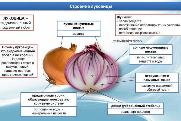 Кракен пользователь не найден что делать